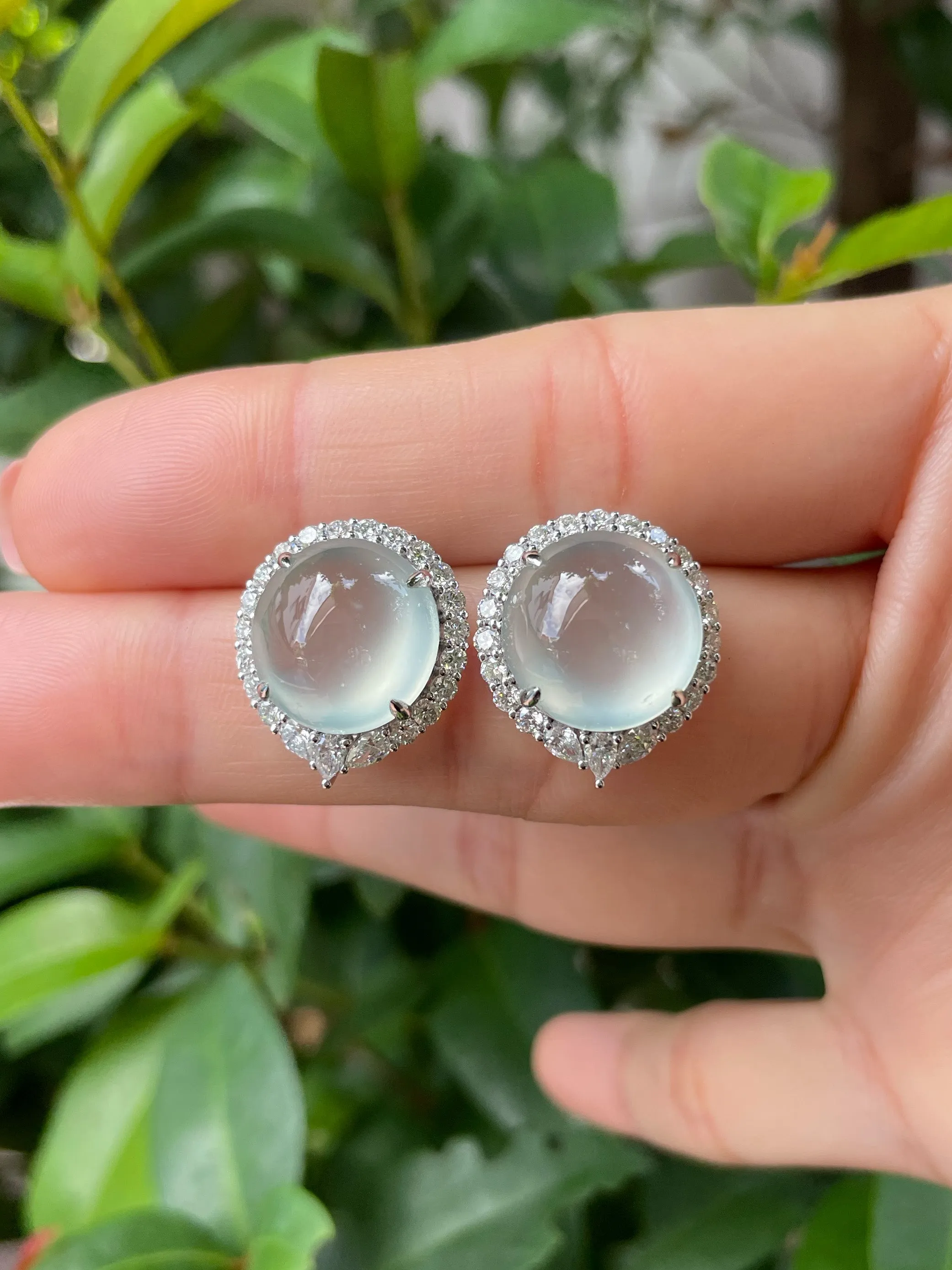Glassy Jade Cabochon Earrings (NJE140)