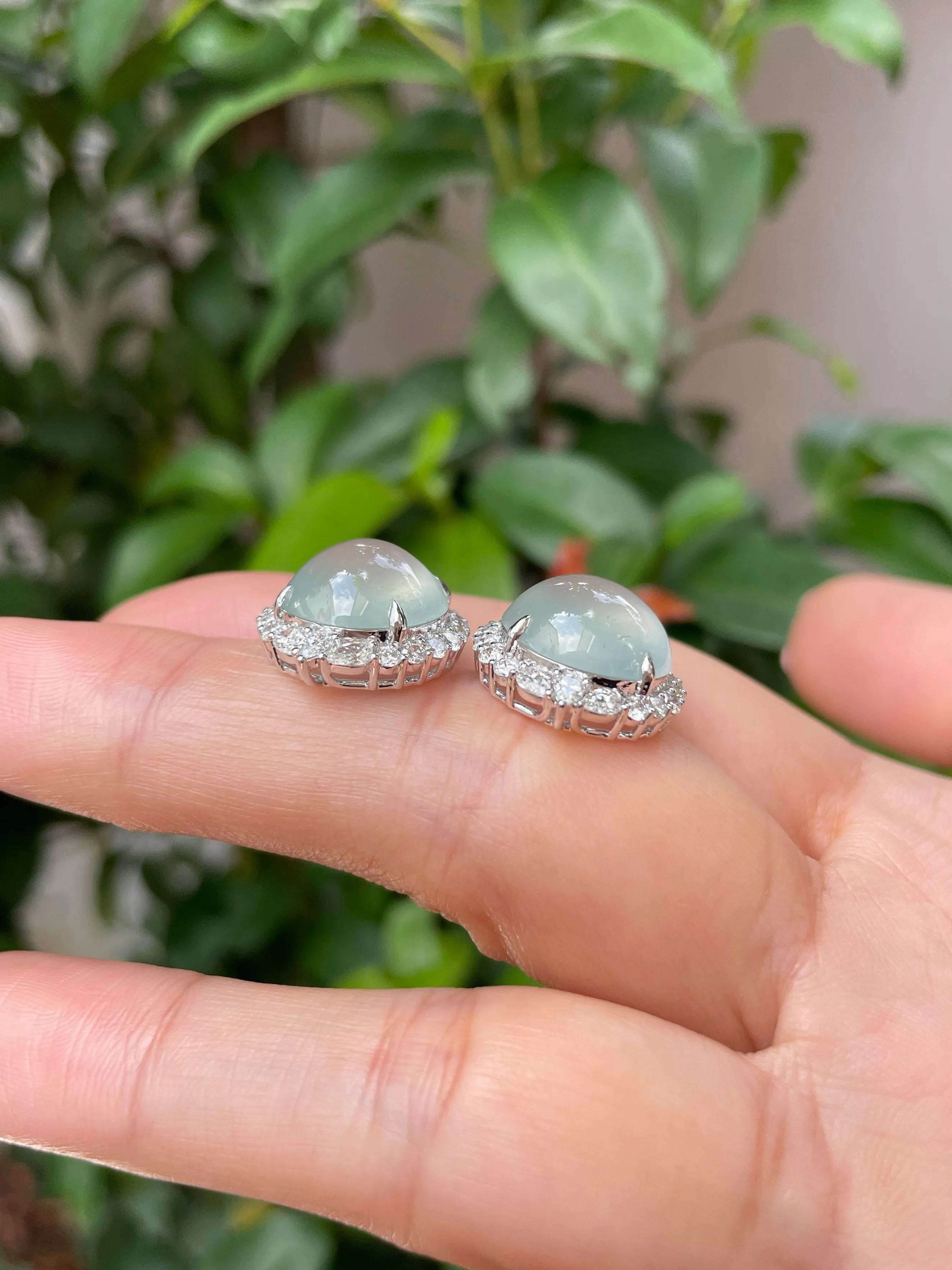 Glassy Jade Cabochon Earrings (NJE140)