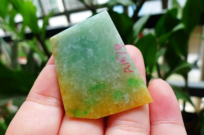 Natural Jade Rough Jadeite Raw (27g,4.6X3.2X1.1cm)