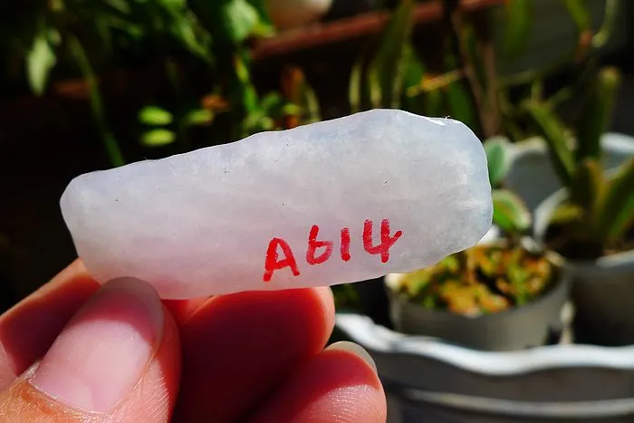 Natural Jade Rough Jadeite Raw (8.8g,4.8X1.9X0.5cm)