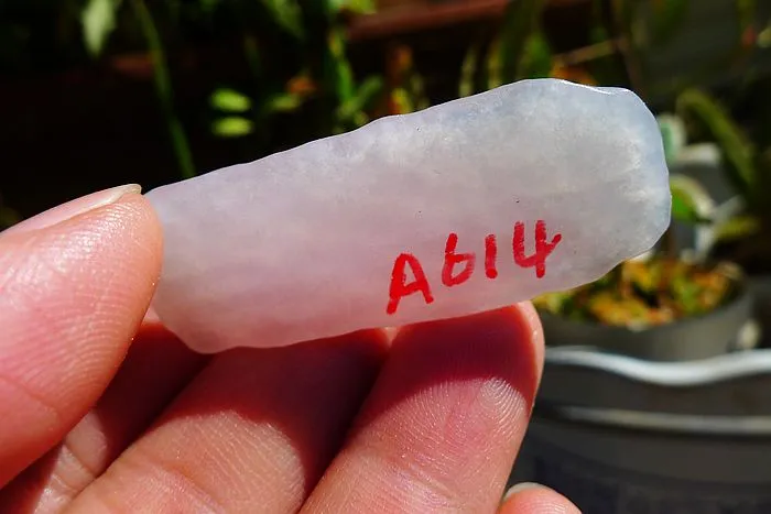 Natural Jade Rough Jadeite Raw (8.8g,4.8X1.9X0.5cm)
