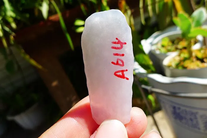 Natural Jade Rough Jadeite Raw (8.8g,4.8X1.9X0.5cm)