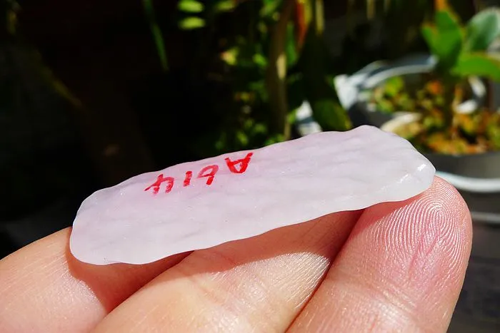 Natural Jade Rough Jadeite Raw (8.8g,4.8X1.9X0.5cm)
