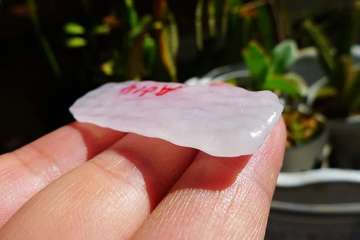 Natural Jade Rough Jadeite Raw (8.8g,4.8X1.9X0.5cm)
