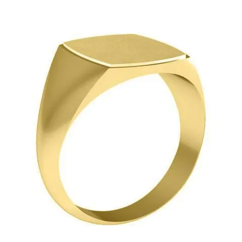 Step Edge Square Signet Ring - 14mm x 13mm